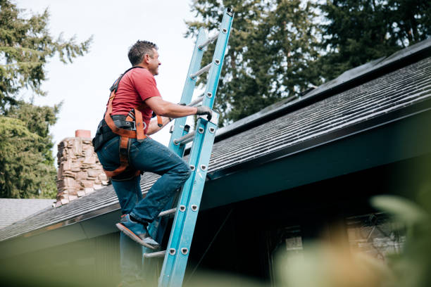 Best Gutter Installation and Repair  in Belvidere, NJ